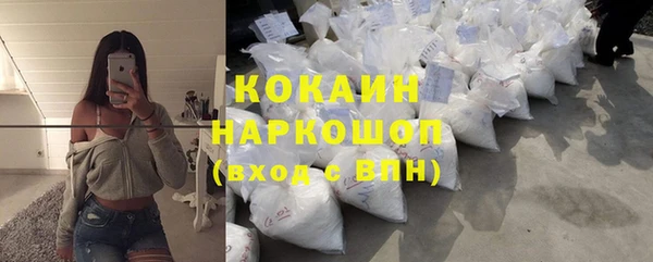 тгк Алексин