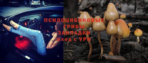 тгк Алексин
