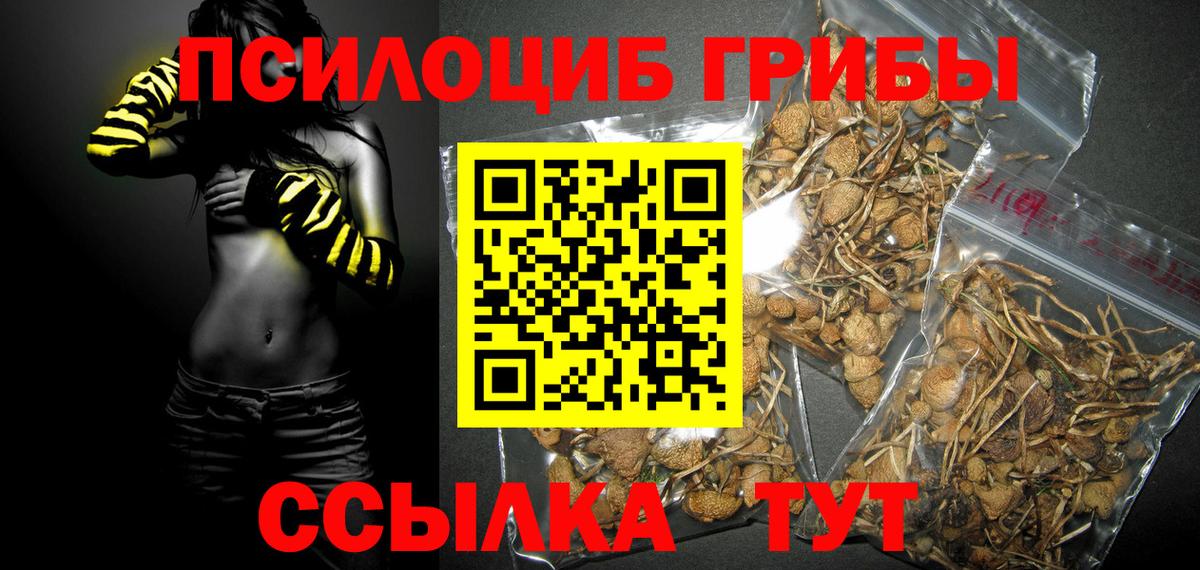 Псилоцибиновые грибы MAGIC MUSHROOMS Георгиевск