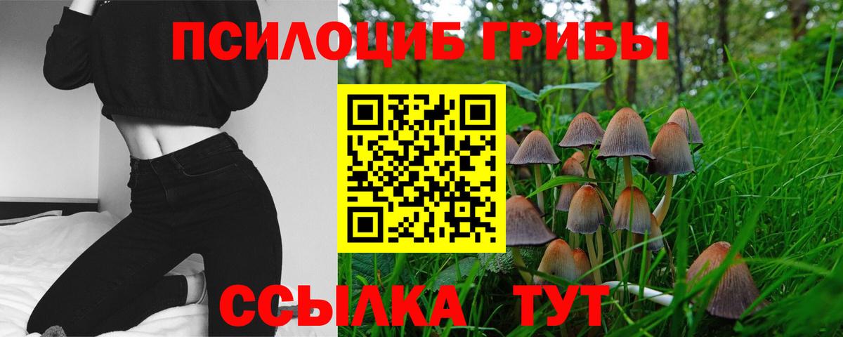 Псилоцибиновые грибы GOLDEN TEACHER  Вход с VPN  Георгиевск 
